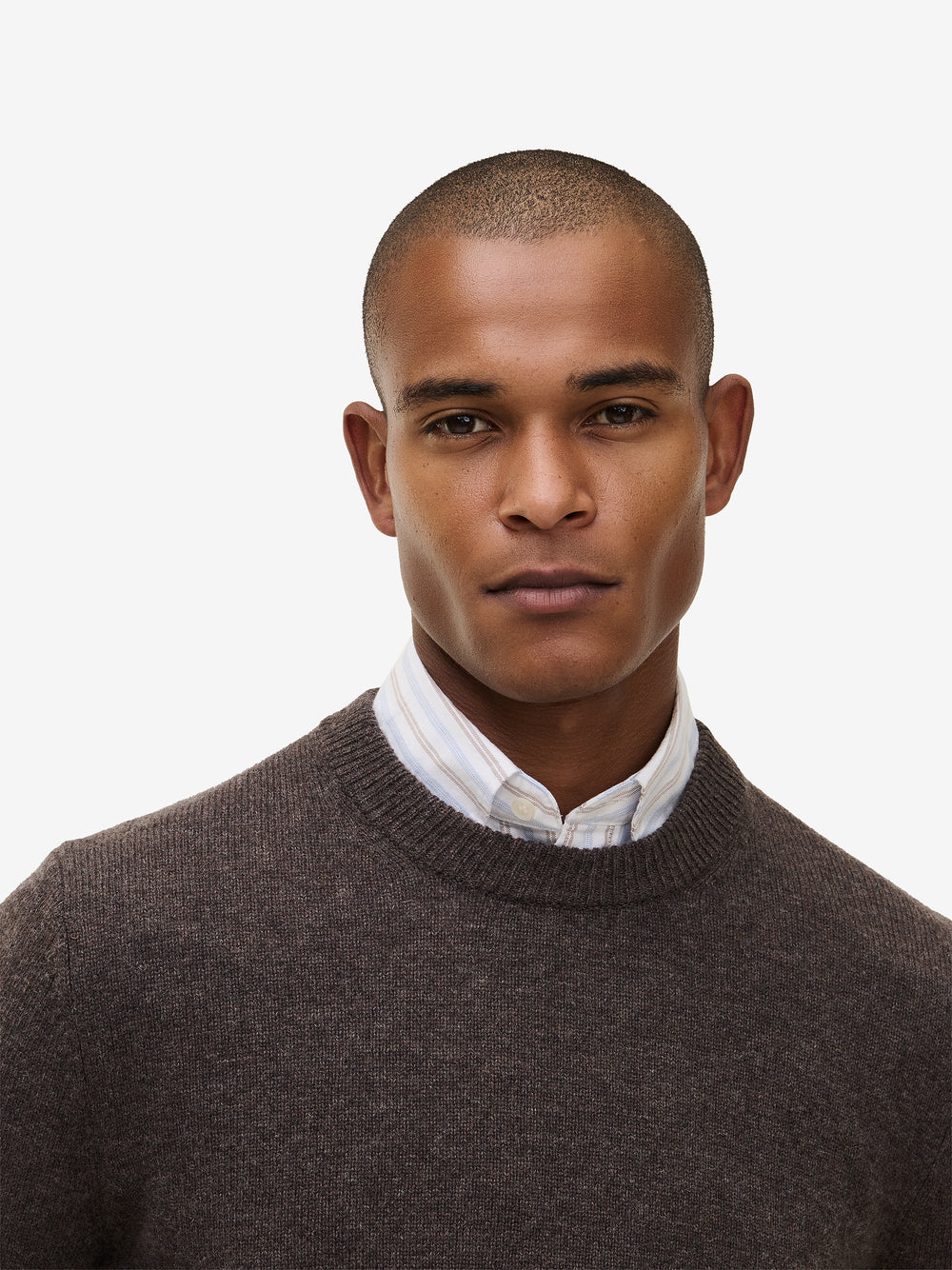 Brighton Lambswool KW20104-DBR