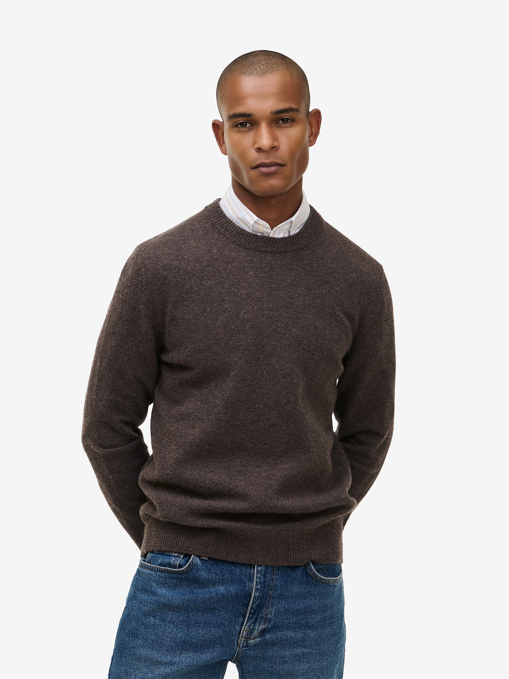 Brighton Lambswool KW20104-DBR