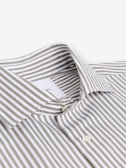 Specialist Stripe Cotton SH01036-OLV