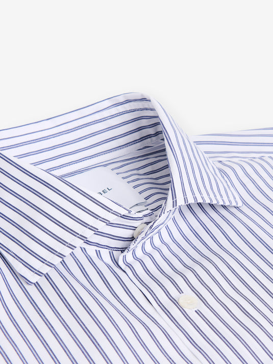 Specialist Stripe Cotton SH01037-BLU