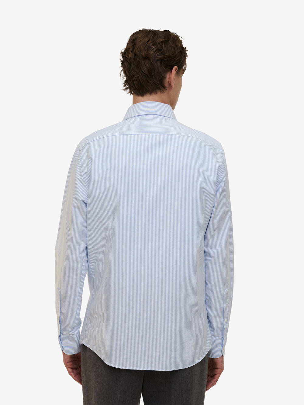 Specialist Striped Oxford Cotton SH90170-LBL