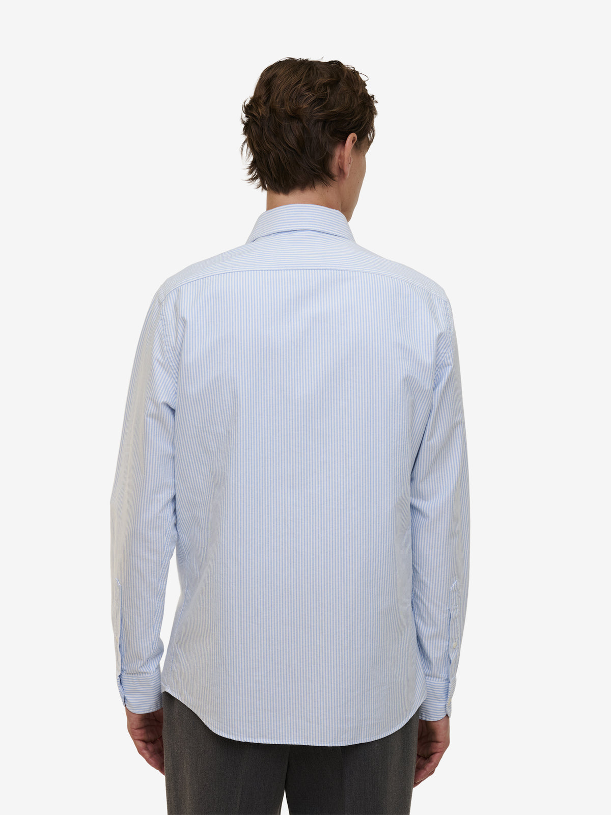 Specialist Striped Oxford Cotton SH90170-LBL