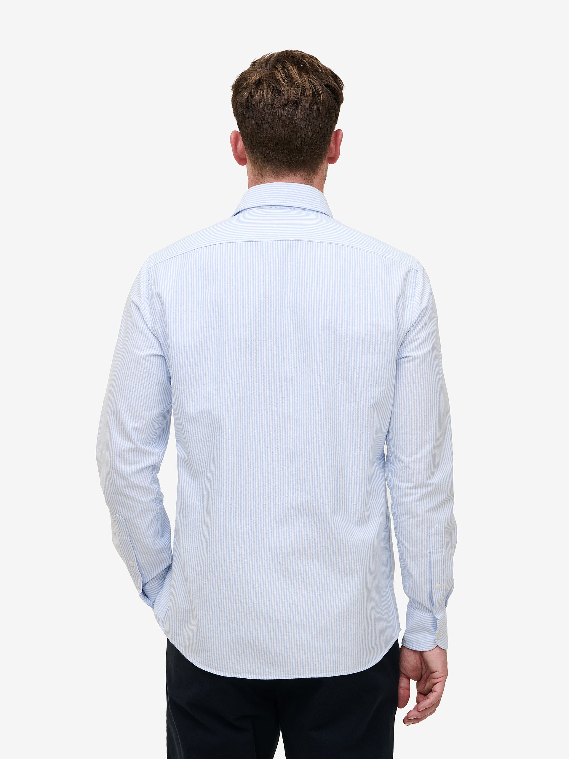 Specialist Striped Oxford Cotton SH90170-LBL