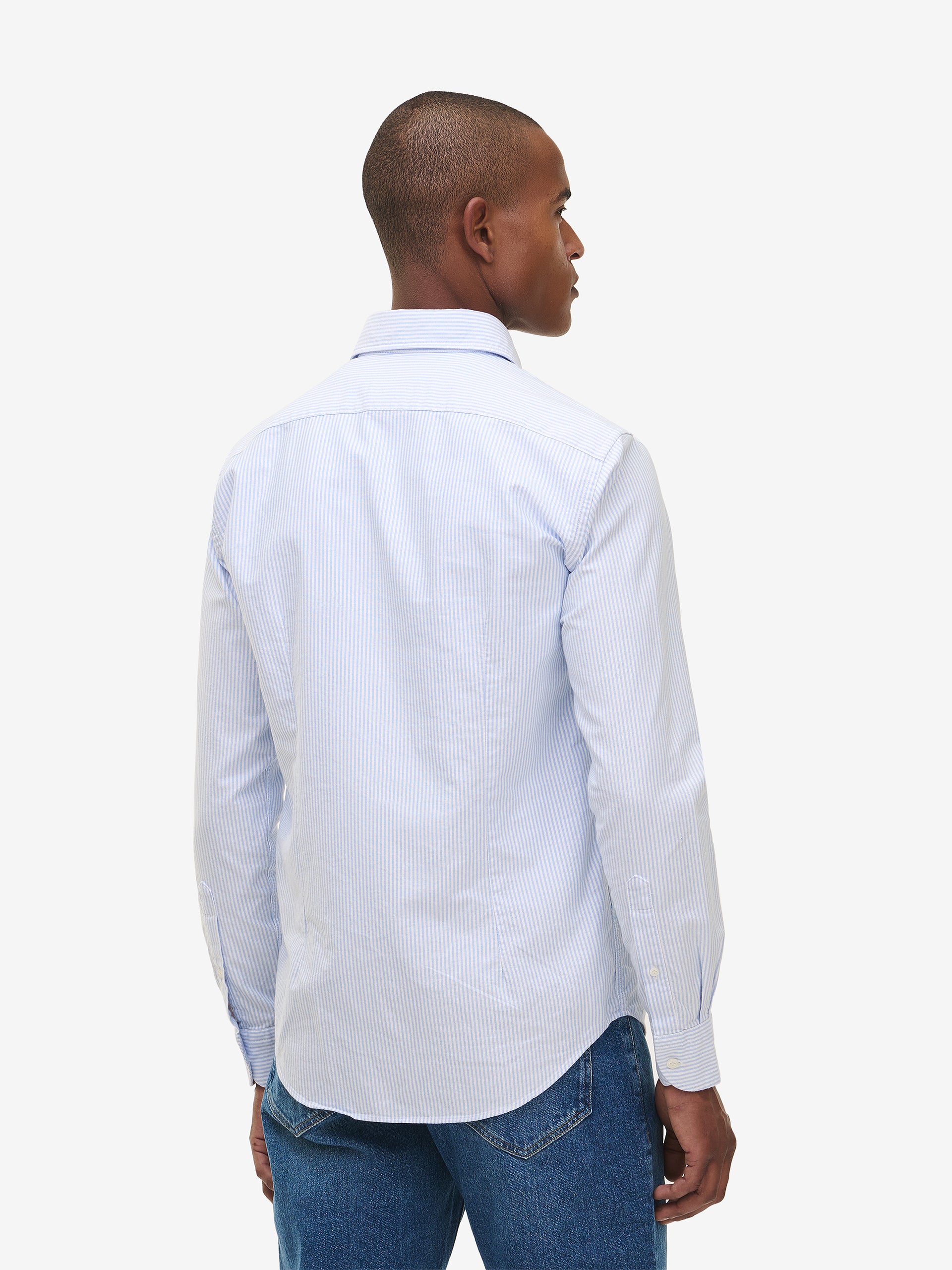 Specialist Striped Oxford Cotton SH90170-LBL