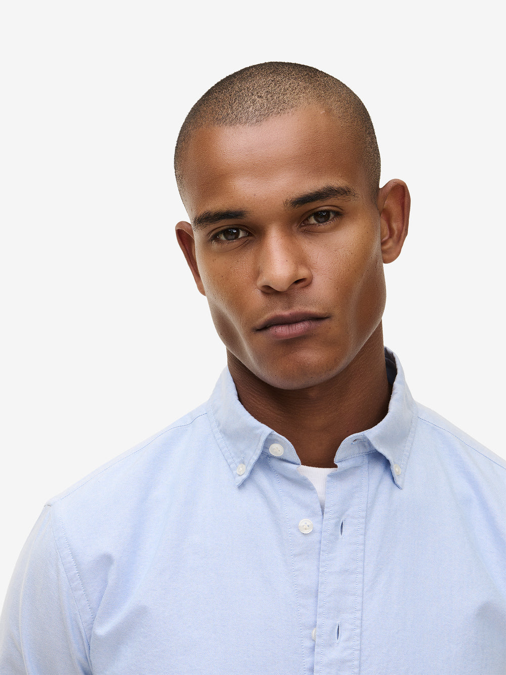 Felix Oxford Cotton SH90171-LBL