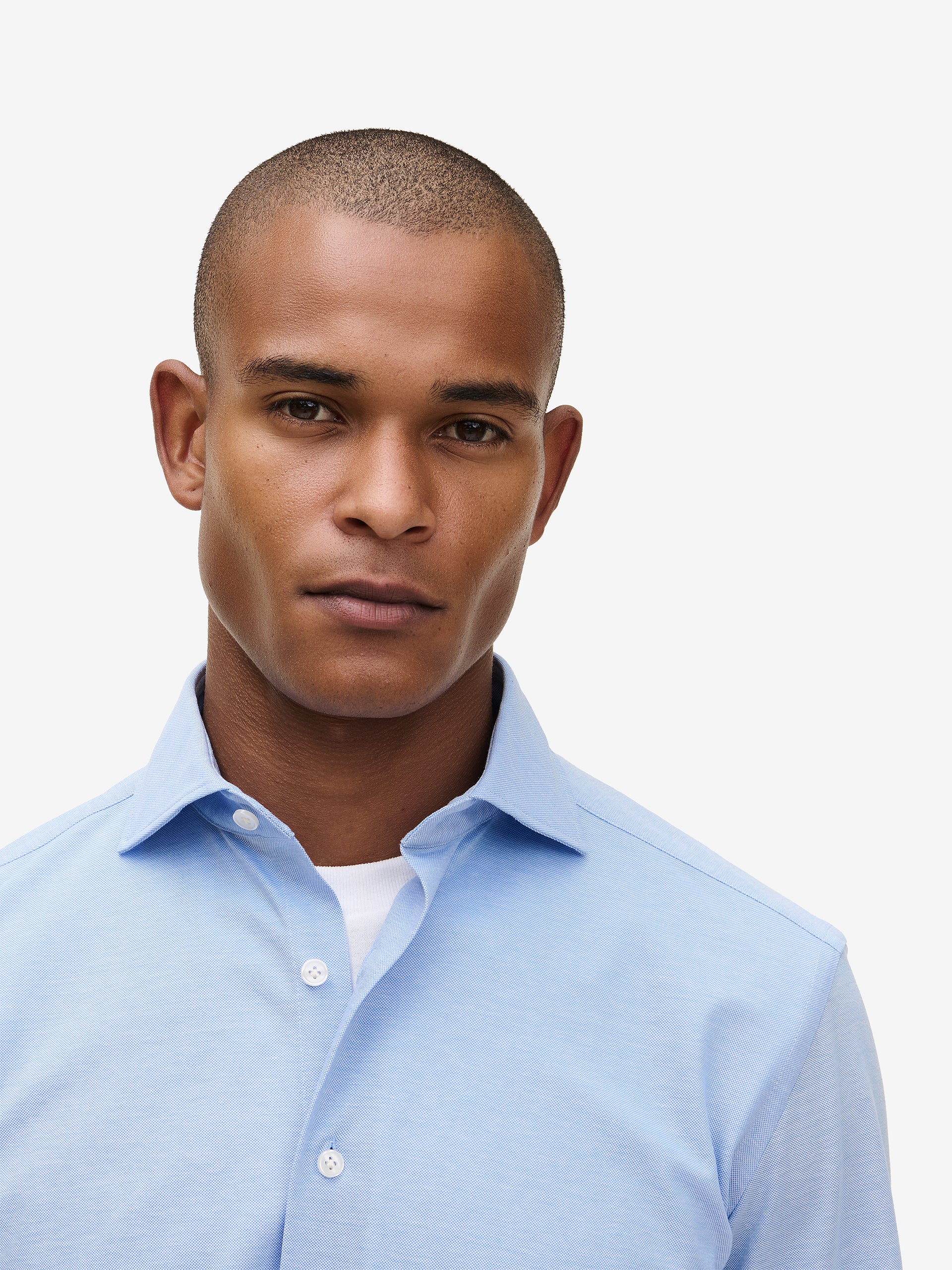 Specialist Knitted Cotton SH90173-LBL