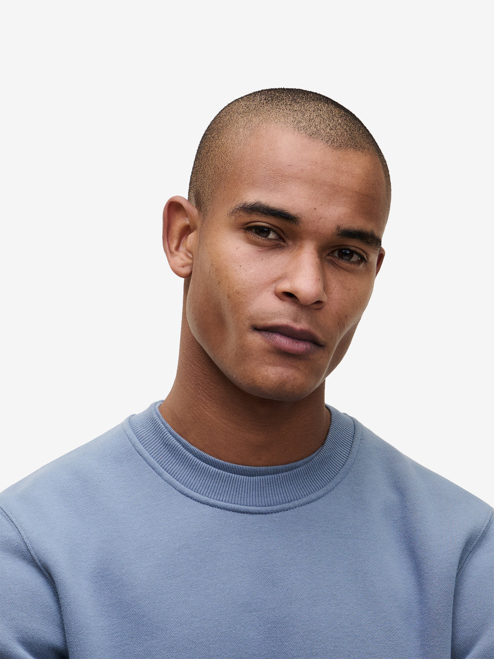 Stanford Cotton SW01002-FBL