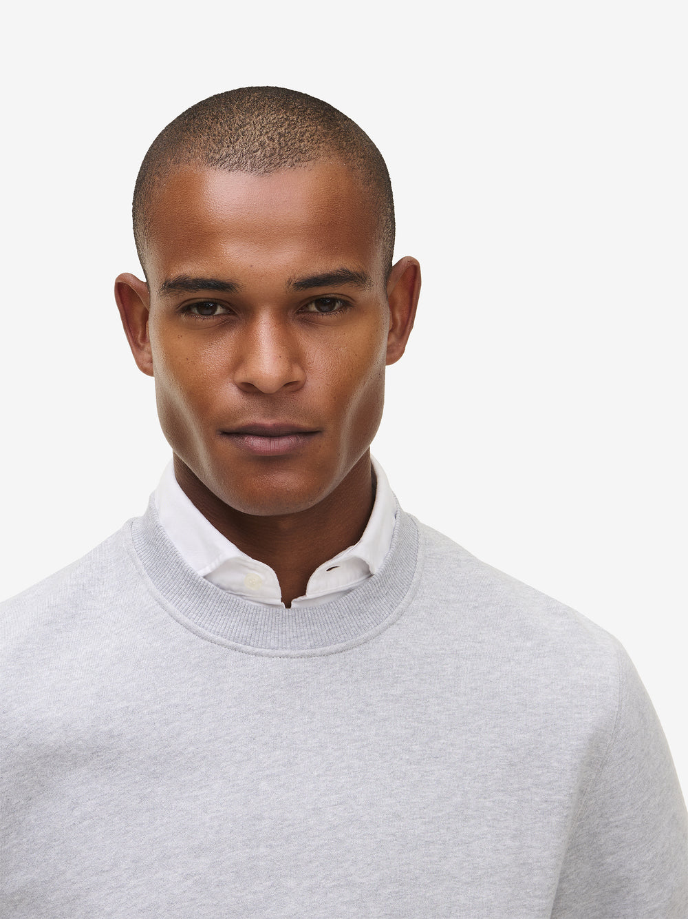 Stanford Cotton SW01002-GRY