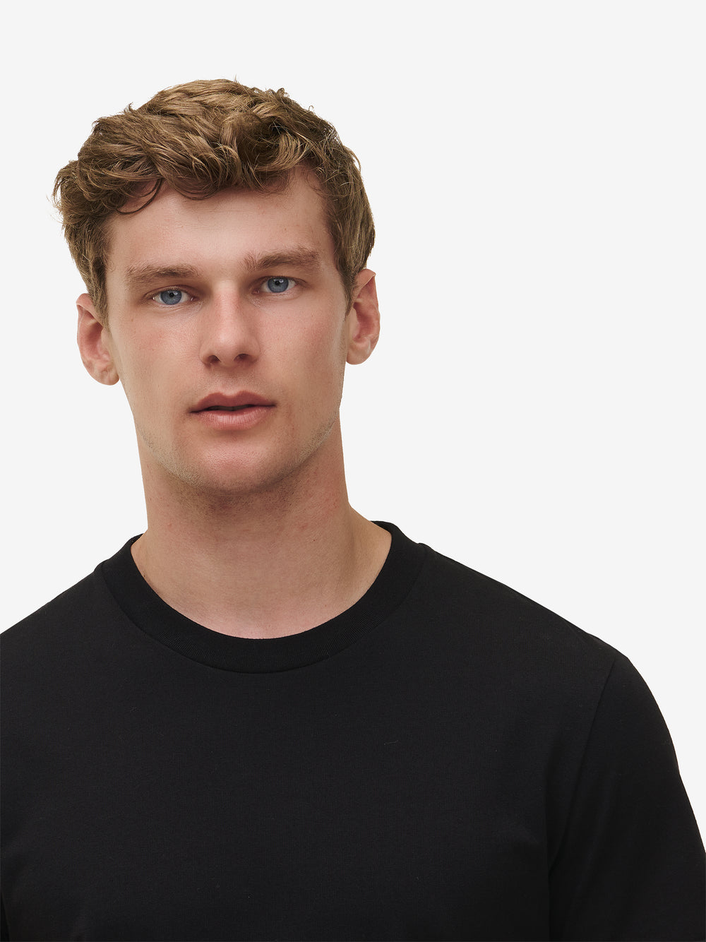 Cedar Lightweight Organic Cotton TS90024-BLC