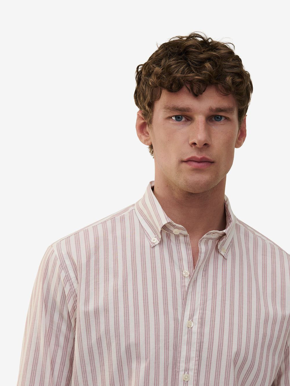 Maytown Cotton Stripe SH01028-BRE