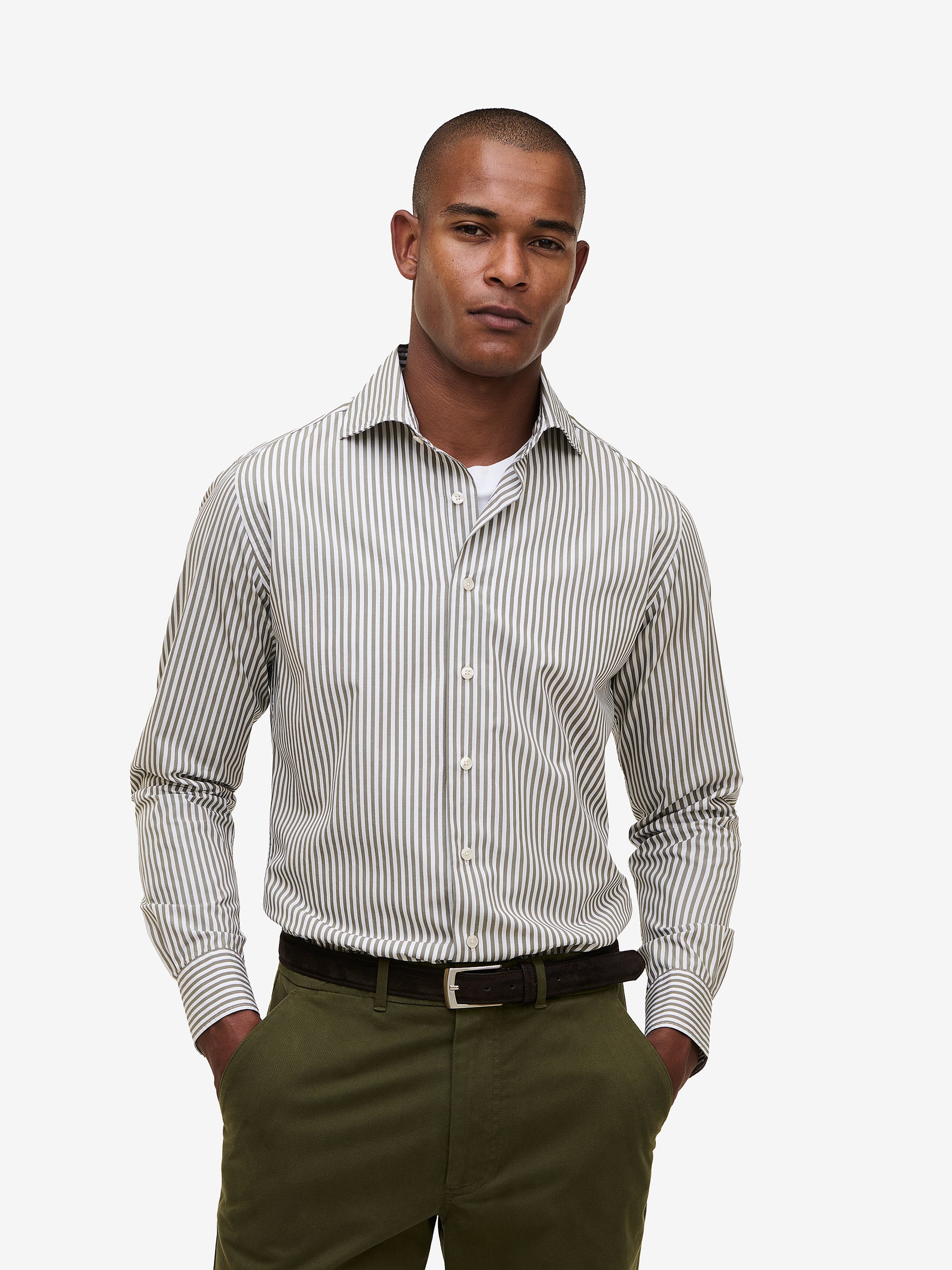 Specialist Stripe Cotton SH01036-OLV