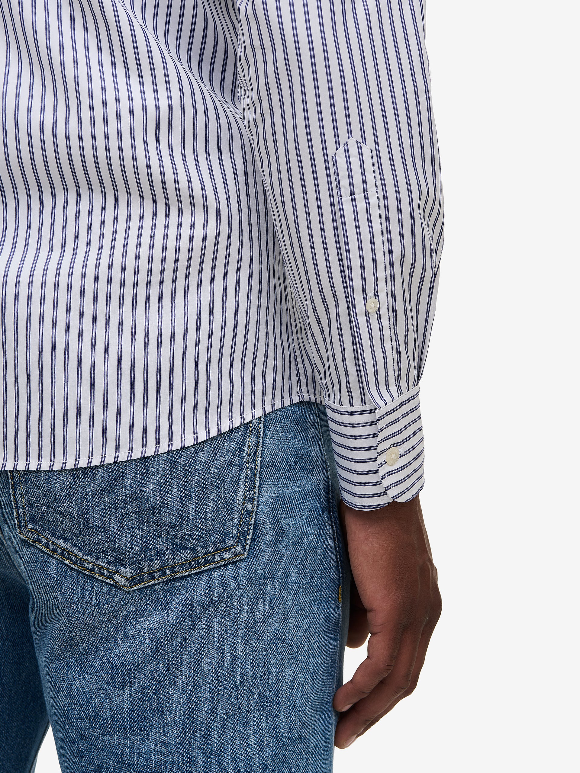 Specialist Stripe Cotton SH01037-BLU