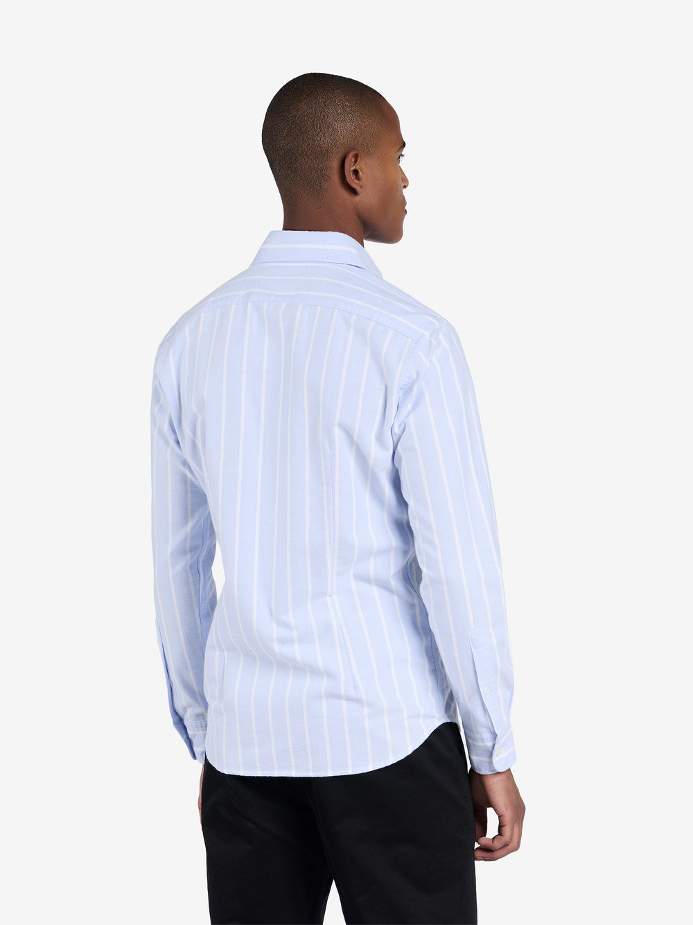 Specialist Brushed Striped Oxford SH20233-LBL