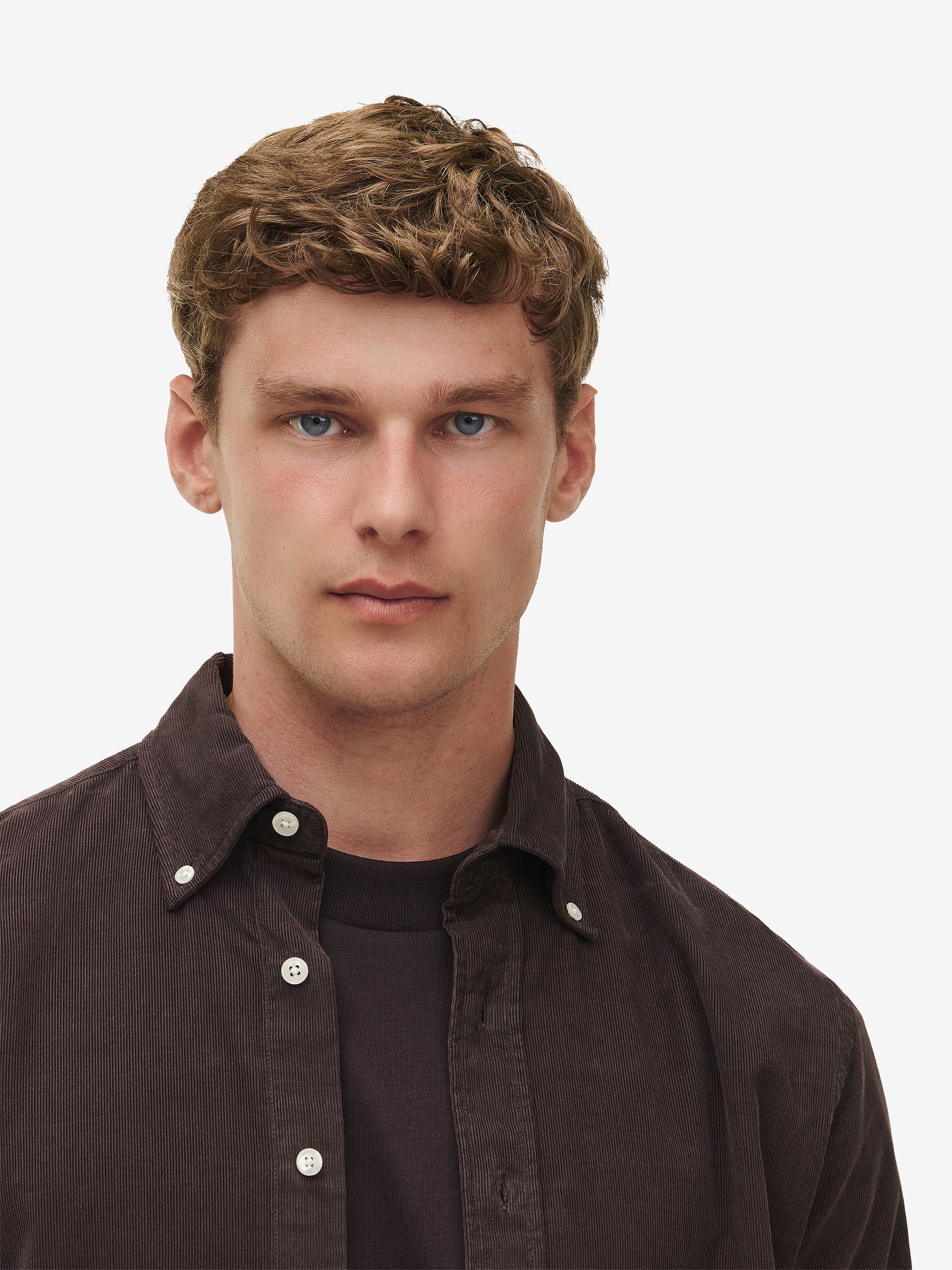 Maytown Corduroy Cotton SH20240-DBR