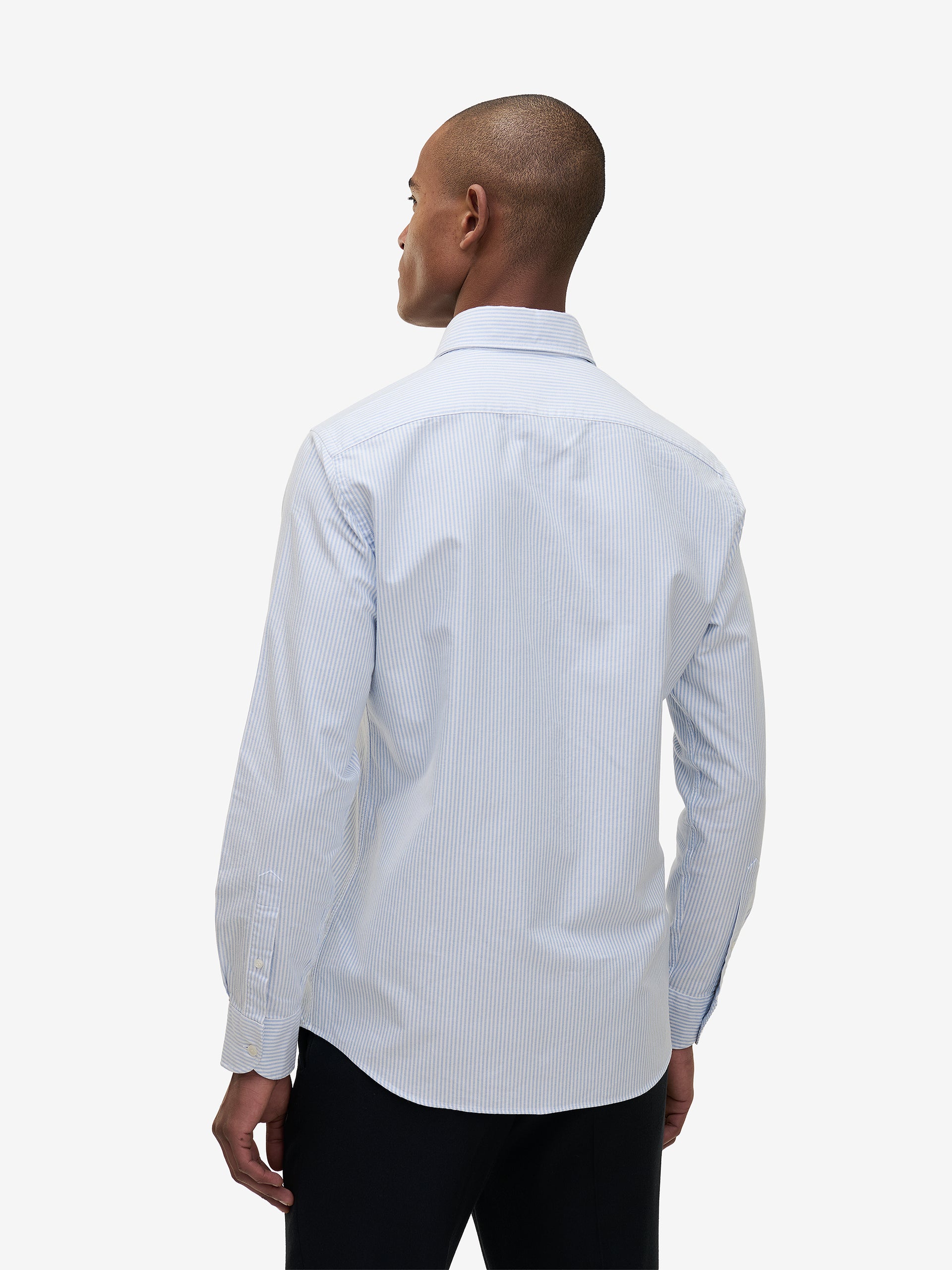 Specialist Striped Oxford Cotton SH90170-LBL