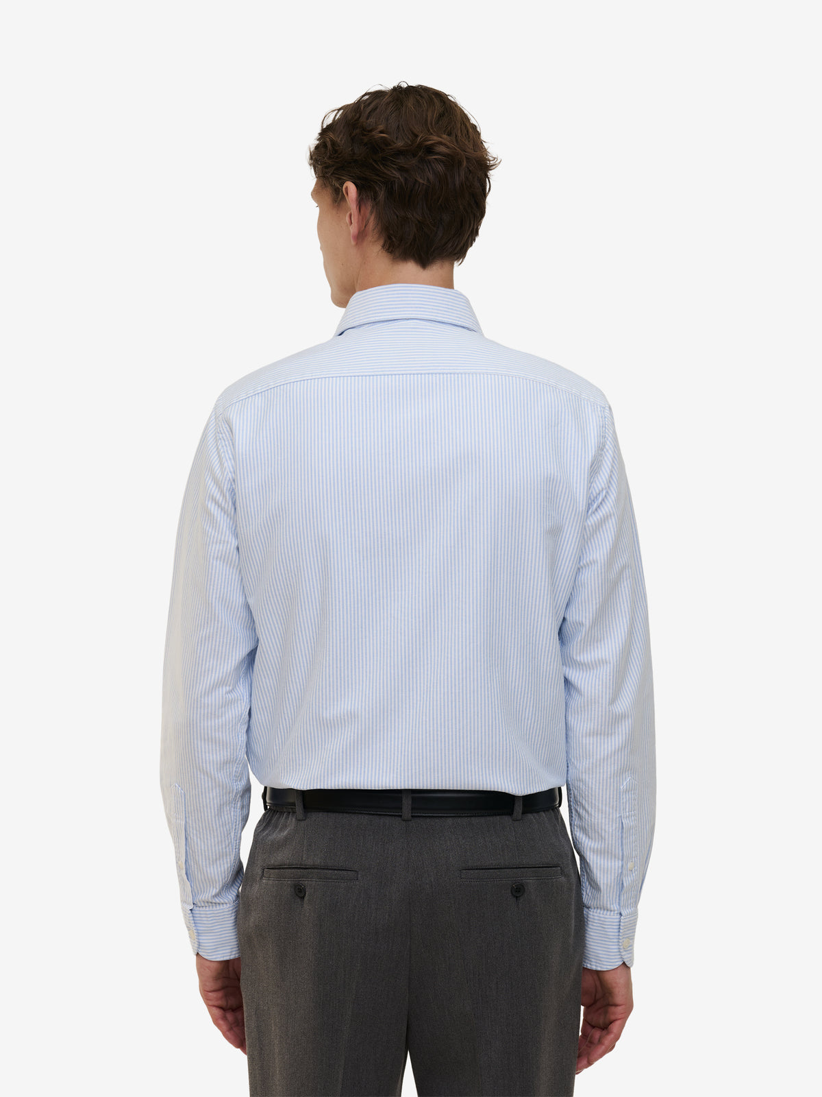 Specialist Striped Oxford Cotton SH90170-LBL