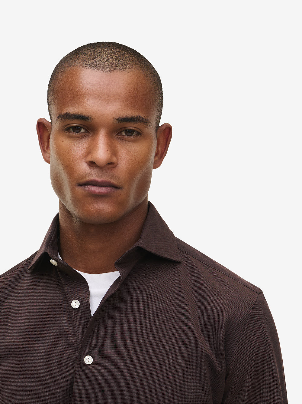 Specialist Knitted Cotton SH90173-DBR