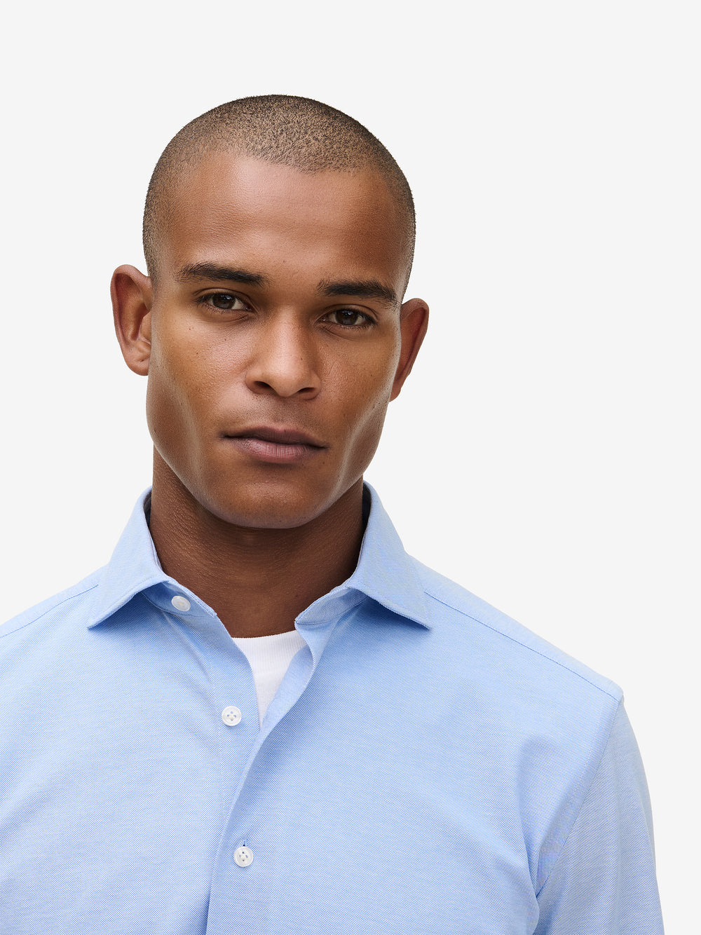 Specialist Knitted Cotton SH90173-LBL