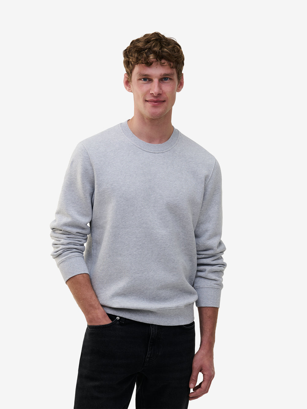 Stanford Cotton SW01002-GRY