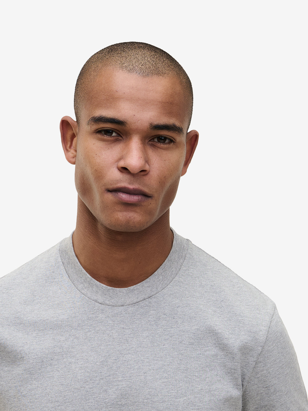 Cedar Lightweight Cotton TS90024-LGH